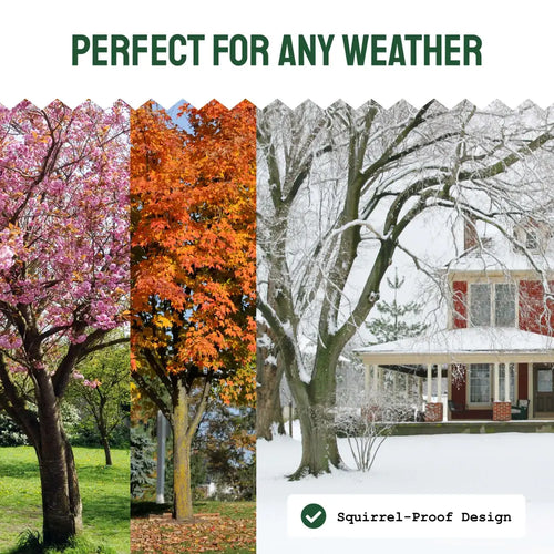 Clear View Window Bird Feeder with Suction Cups (2 Piece Set)