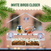 Clear View Window Bird Feeder with Suction Cups (2 Piece Set)