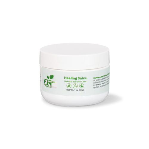 SKIN HEALTH / Healing Skin Salve