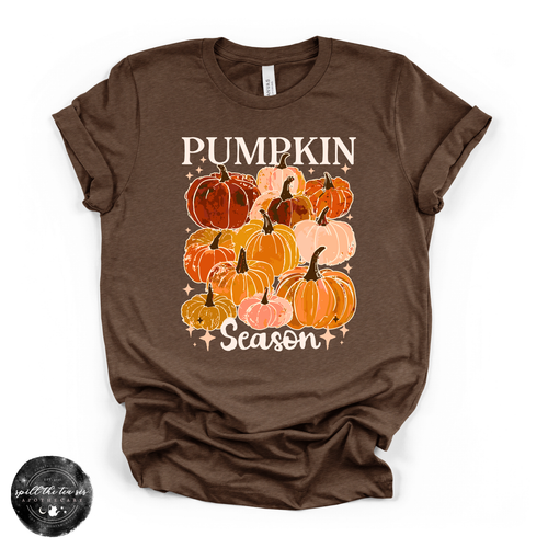 Pumpkin Season Tee | Cozy Fall Graphic T-Shirt