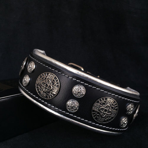 Hektor collar style meets comfort