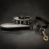 Hektor collar style meets comfort