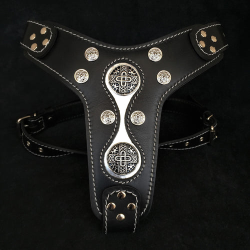The Hektor harness