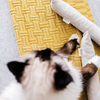 Boba & Vespa Cat Kicker Toy for Bunny Kicks  - DOGS love it too!