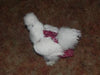 Hen Holster Bird Diaper/Harness (Hand-Made in USA) with Removable Vinyl Liner