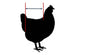 Hen Holster Bird Diaper/Harness (Hand-Made in USA) with Removable Vinyl Liner