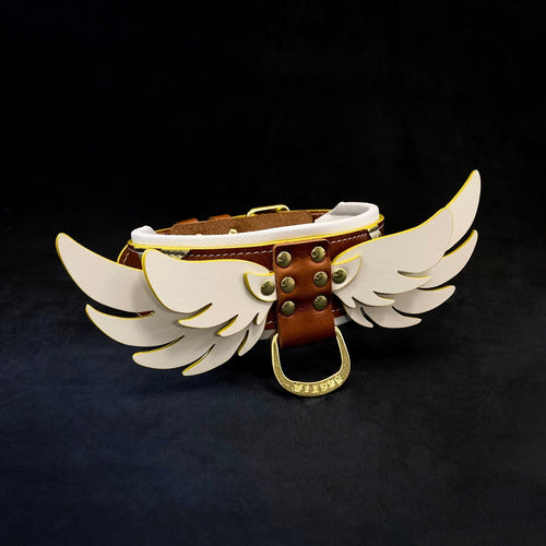 Hermes Collar LUXURY Pet Gear