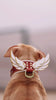 Hermes Collar LUXURY Pet Gear