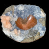 Heulandite and Stilbite on Chalcedony | SELF STANDING | High Quality Mineral | Indian Mineral | Superb Minerals