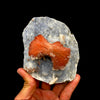 Heulandite Bow on Chalcedony Matrix Natural Mineral Specimen # DK185