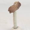 Heulandite Bow on Chalcedony Natural Mineral Specimen # B 6607