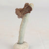 Heulandite Bow on Chalcedony Natural Mineral Specimen # B 6607