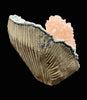 Stunning Pink Heulandite on Chalcedony Matrix – Rare Indian Zeolite Crystal Specimen from Jalgaon DK11