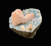 Stunning Pink Heulandite on Chalcedony Matrix – Rare Indian Zeolite Crystal Specimen from Jalgaon DK11