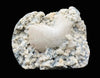 Fabulous Huge Heulandite Crystal on Chalcedony – Exceptionally Terminated Indian Zeolite Specimen from Jalgaon DK35