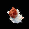 Rare Reddish Heulandite on Chalcedony Matrix – Raw Indian Zeolite Crystal from Jalgaon DK99