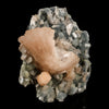 Heulandite Petals in Chalcedony geode Free Standing Natural Mineral Specimen # B 6611