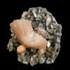 Heulandite Petals in Chalcedony geode Free Standing Natural Mineral Specimen # B 6611