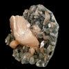 Heulandite Petals in Chalcedony geode Free Standing Natural Mineral Specimen # B 6611