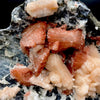 Museum-Grade Deep Red Heulandite & Stilbite Crystal on Chalcedony Matrix | Rare Indian Zeolite Specimen from Jalgaon DK107