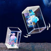 Acrylic Display Case 4PCS Upgraded Large 125mm Clear Blind Box Display Case - Dustproof Acrylic Organizer