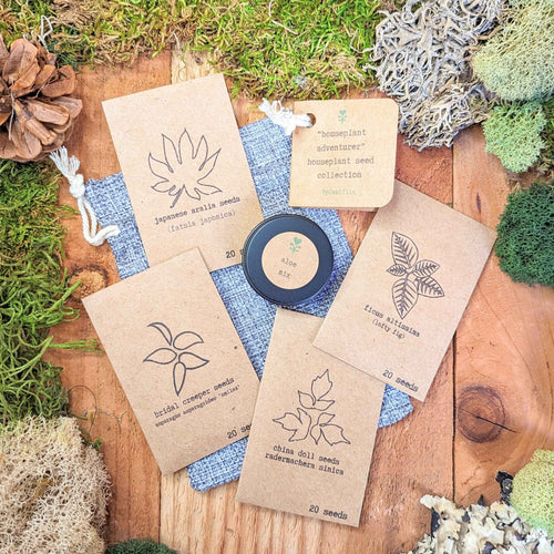 Houseplant Adventurer Houseplant Seed Collection