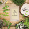 Houseplant Adventurer Houseplant Seed Collection
