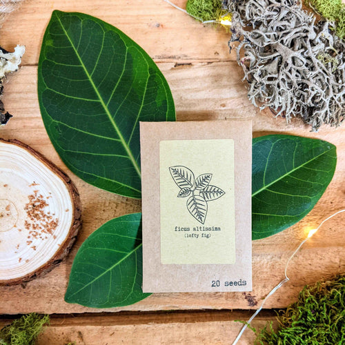 Houseplant Adventurer Houseplant Seed Collection