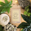 Houseplant Adventurer Houseplant Seed Collection