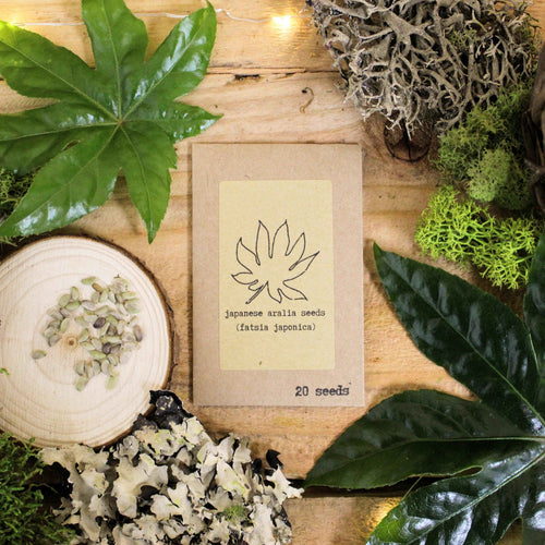 Houseplant Adventurer Houseplant Seed Collection