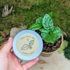Houseplant Buff Houseplant Seed Collection