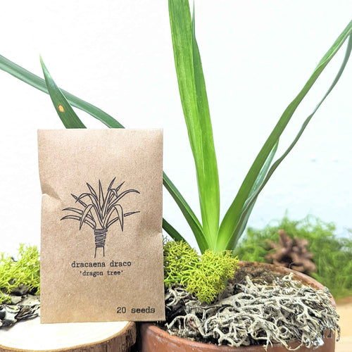 Houseplant Buff Houseplant Seed Collection