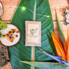 Houseplant Buff Houseplant Seed Collection