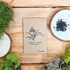 Houseplant Newbie Houseplant Seed Collection