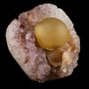 Huge Botryoidal Fluorite on Amethyst, Rare Natural Mineral Specimen # B 6653