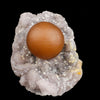 Gigantic Botryoidal Fluorite on MM Quartz Very, Rare Natural Mineral Specimen # B-TUC 6668