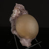 Huge Fluorite Ball on Amethyst Very Rare Natural Mineral Specimen # B 6626