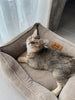 Corduroy Cat Bed Dreamer