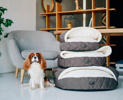 Cover Dog Bed