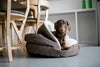 Cover Dog Bed