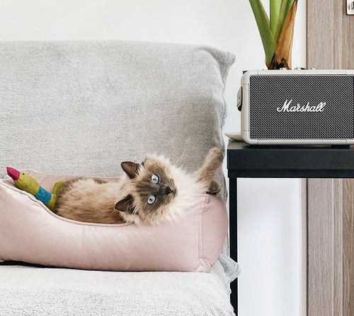Velvet Cat Bed Dreamer