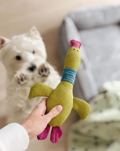 Pet Toy - Duck Jose