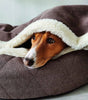 Cover Dog Bed