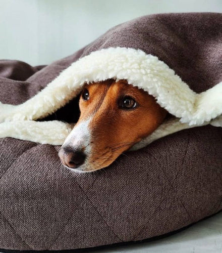 Cover Dog Bed