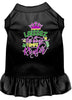 Pet Dress Laissez Les Bons Temps Rouler