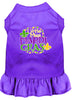 Pet Dress Little Miss Mardi Gras