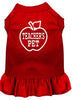 Pet Dress Teacher's Pet