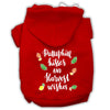 Pet, Dog and Cat Hoodie Screen Printed, Pumpkin Kisses & Harvest Wishes