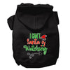 Christmas Pet Hoodie I Can't, Santa Is Watching