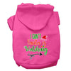 Christmas Pet Hoodie I Can't, Santa Is Watching